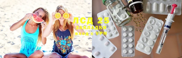 молекула духа Каменка