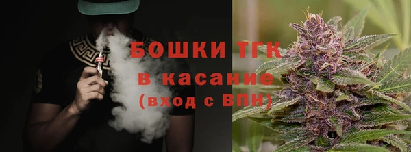 гидропоника Карталы