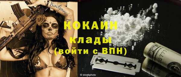 молекула духа Каменка