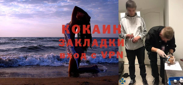 молекула духа Каменка