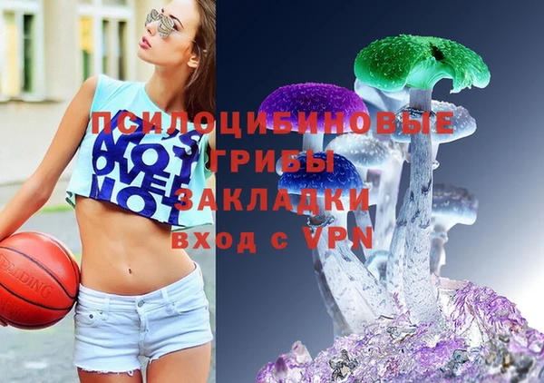 молекула духа Каменка